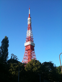 東京タワー 赤羽交差点と東京タワー下交差点の中間より