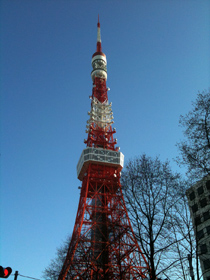 東京タワー 東京タワーのすぐ下(西側)から撮影