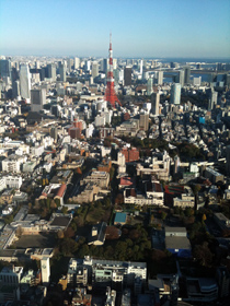 東京タワー 六本木ヒルズ展望台から(2)